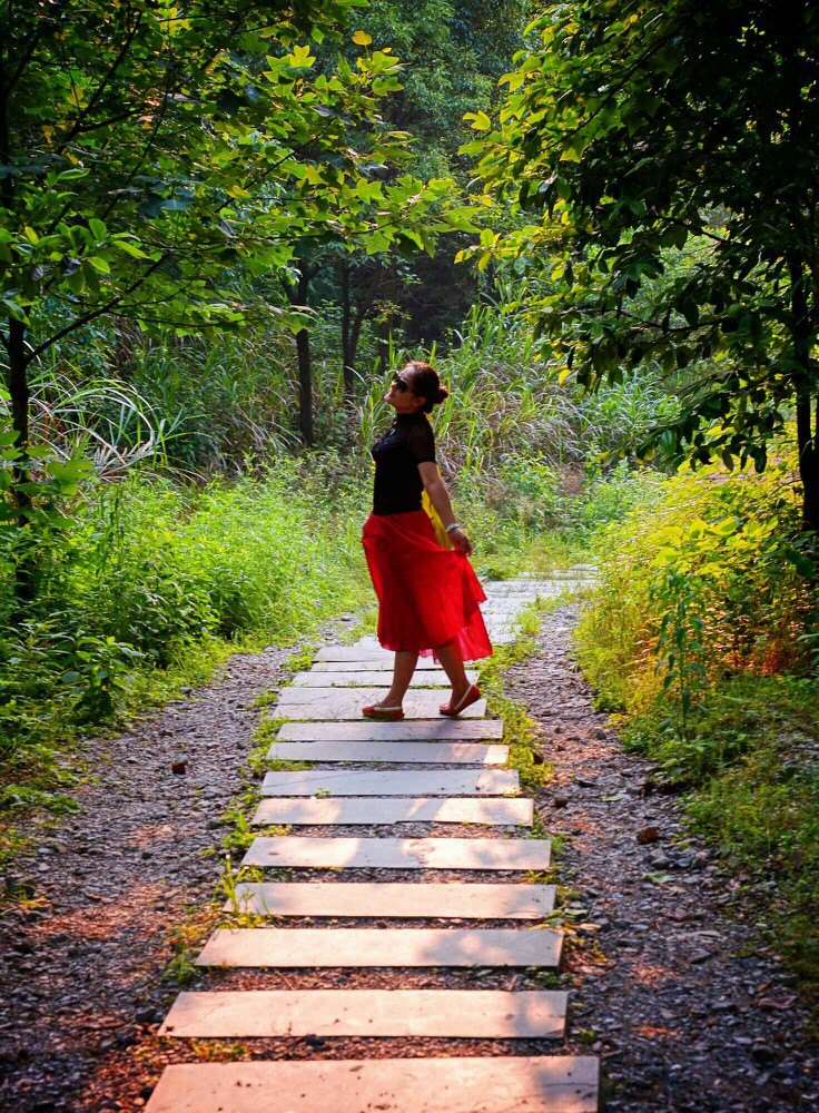 北京西溝原始森林圖片_原始古老森林風格裝修_北京西溝原始森林