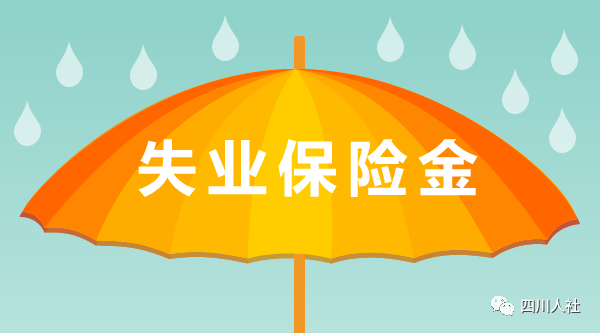 人力資源管理師二級補貼政策_人力管理資源專業學什么的_河北省人力一級補貼