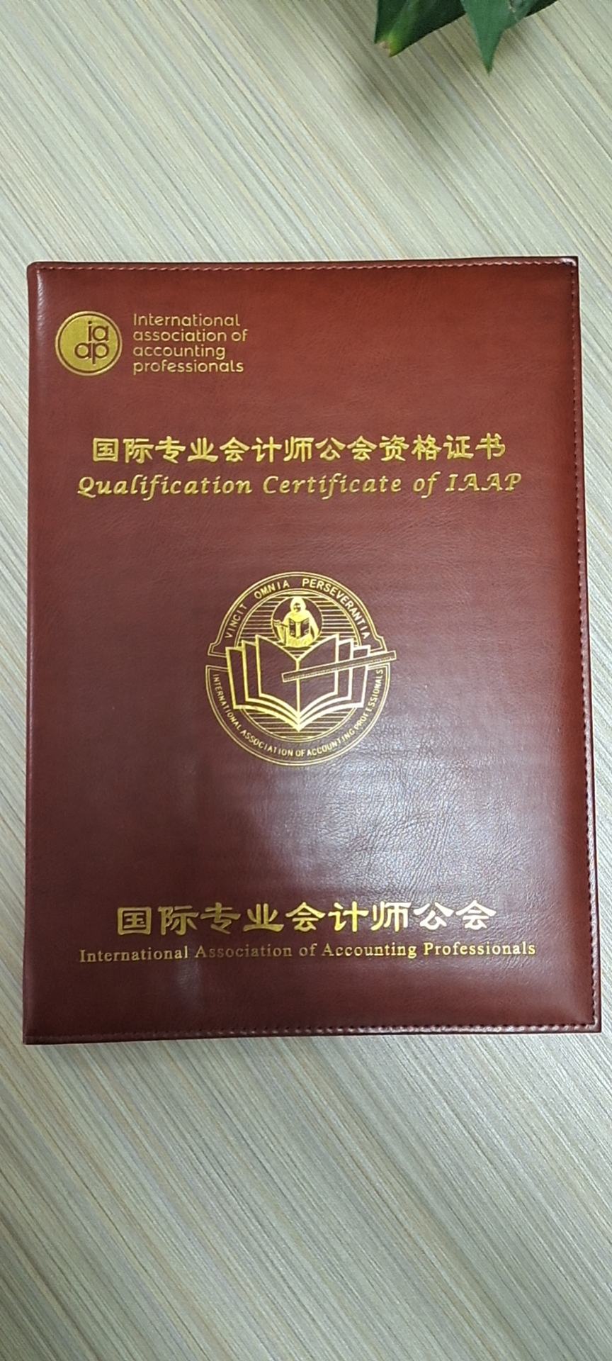 報(bào)考注冊(cè)會(huì)計(jì)師的條件_招標(biāo)師報(bào)考免試條件_報(bào)考會(huì)計(jì)初級(jí)職稱需要什么條件