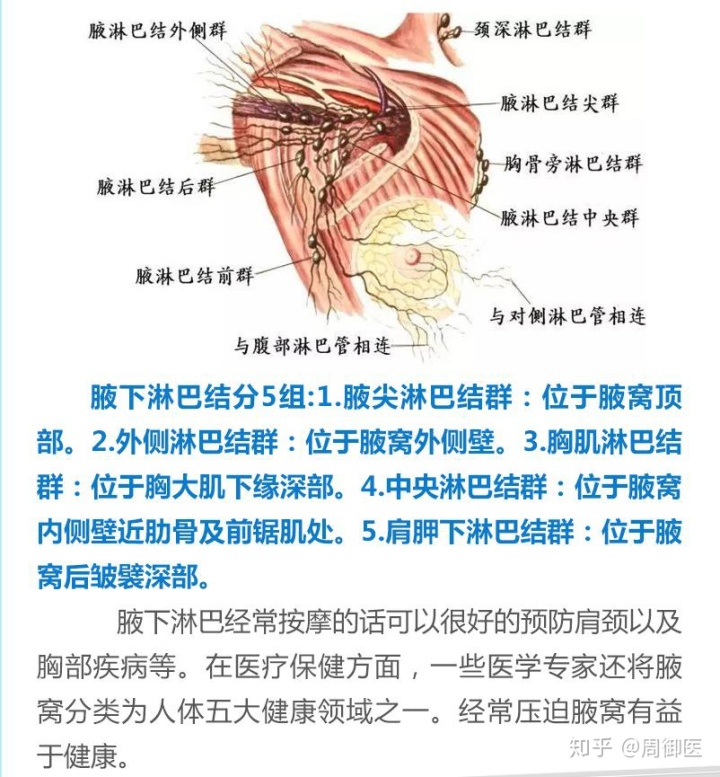 腹部溝酸脹是淋巴發(fā)炎嗎_腹股溝淋巴結(jié)觸診_腹股斜溝疝要不要緊