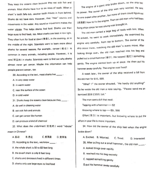 三角梅閱讀答案理解_閱讀詩人高貴的理解_英語四級閱讀理解