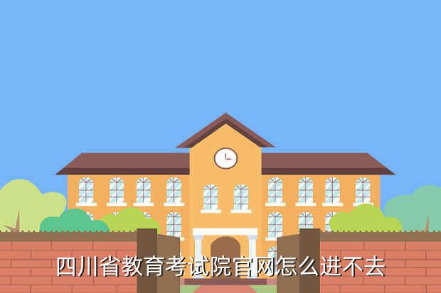 四川省教育考試院官網怎么進不去