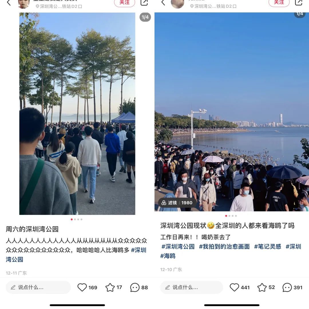 房產(chǎn)經(jīng)濟(jì)人_周口房產(chǎn)經(jīng)濟(jì)欄目_北京世紀(jì)星房產(chǎn)經(jīng)濟(jì)有限公司