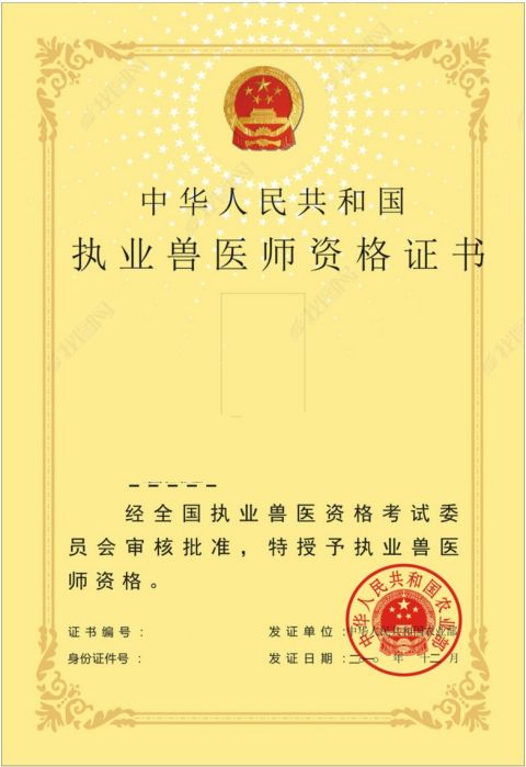 醫師執業考試報名條件_15醫師執業資格考試報名時間_執業獸醫師報名