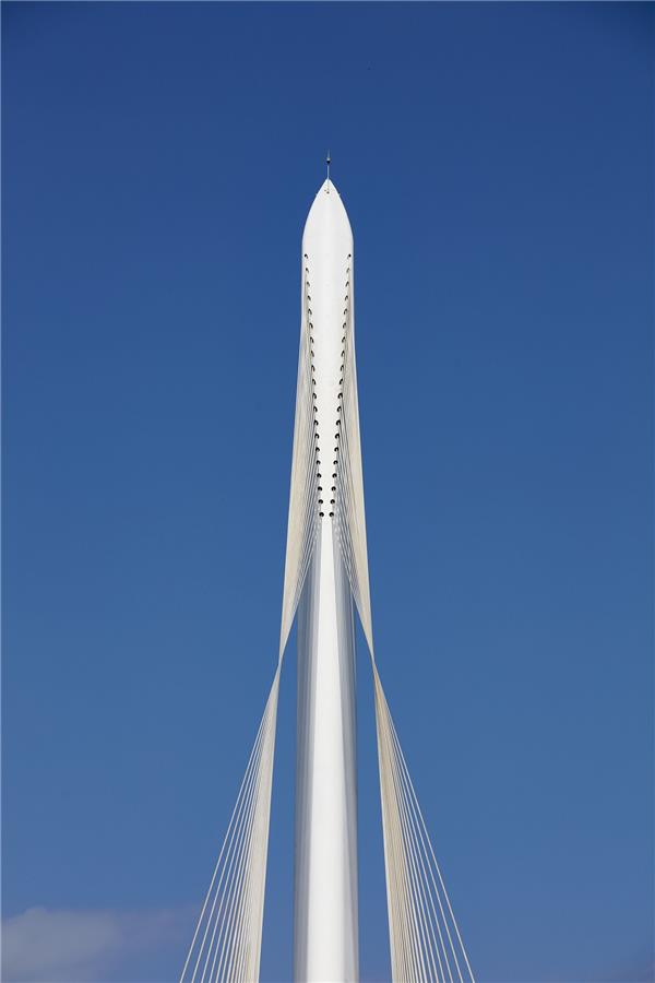 Ponte sul Crati大橋設計