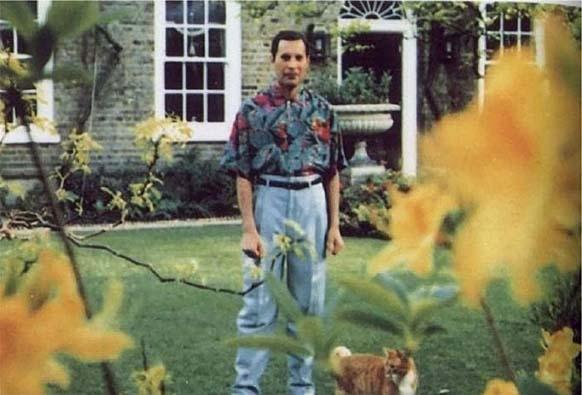 讓人唏噓！甘地、戴安娜、希特勒，世界名人生前最后一張照片