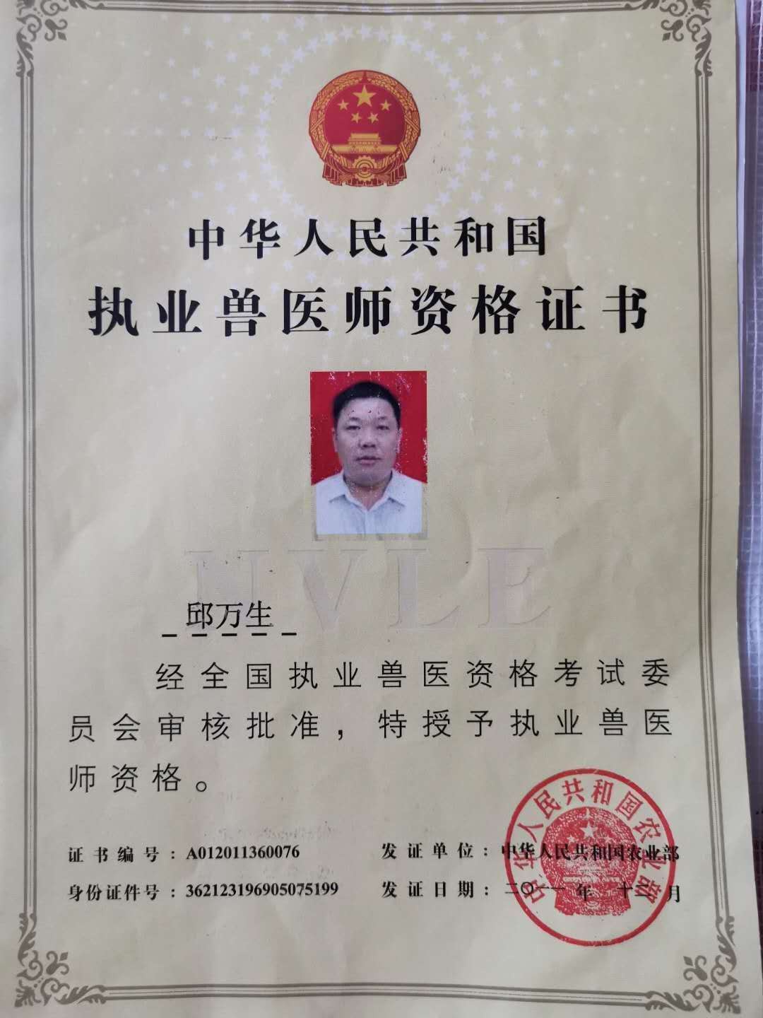 執業獸醫資格證考試09年真題_執業獸醫資格證考試_執業獸醫考試成績查詢