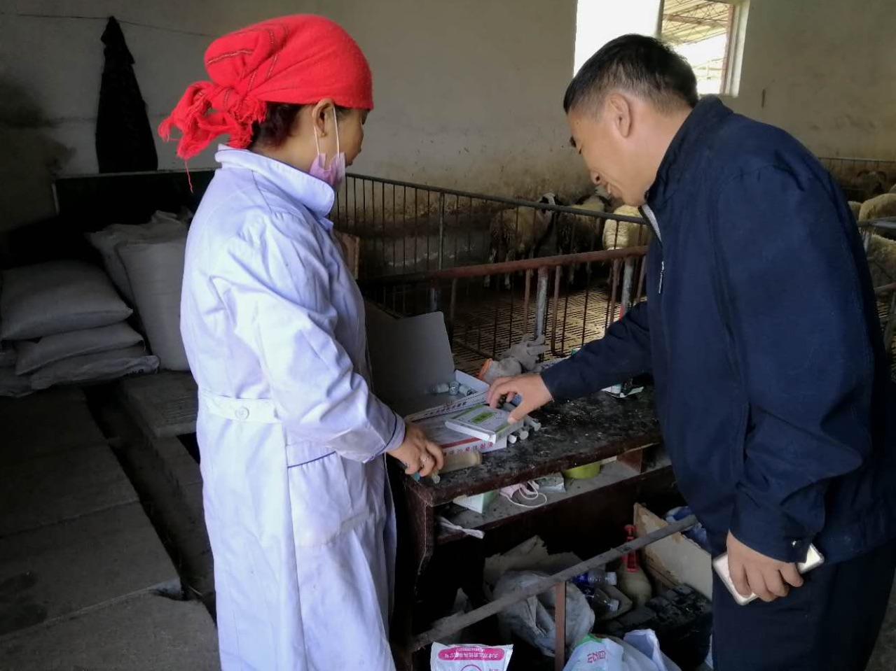 青海獸醫職業技術學院_青海畜牧獸醫職業技術學院_畜牧與獸醫雜志