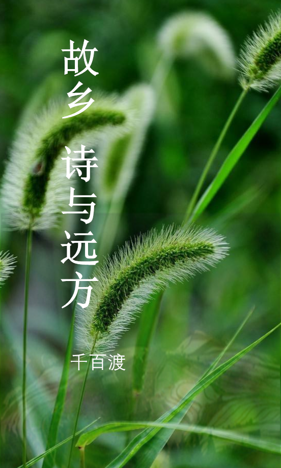 遠溪三by neleta鯉魚鄉_即使你遠在他鄉_遠鄉英劇