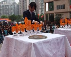 四川法商專修學院軍儀教育_四川法商專修學院西輝_石家莊法商學院