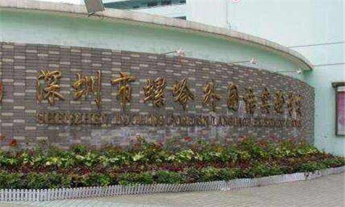     螺嶺外國語實驗學校  