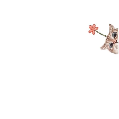 綿陽師范學(xué)院鳥瞰圖_綿陽師范學(xué)院怎么樣知乎_綿陽師范學(xué)院怎么樣