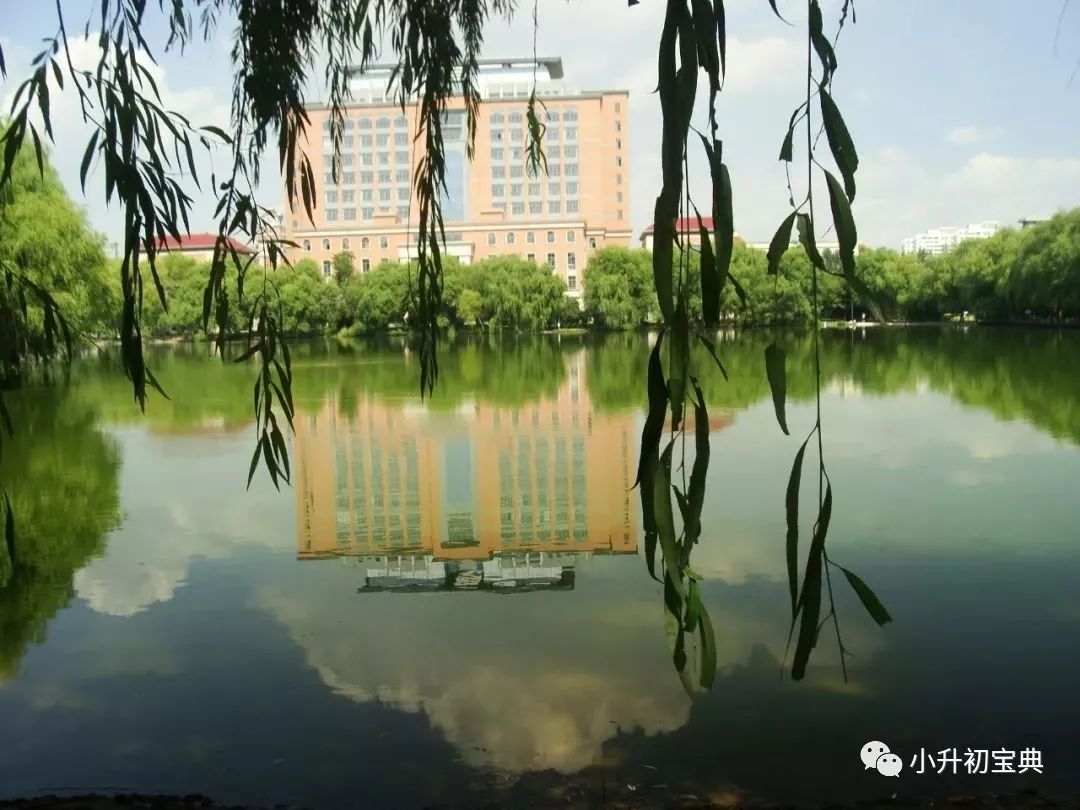 松江公辦小學梯隊_松江公辦小學最新排名_松江公辦小學排名