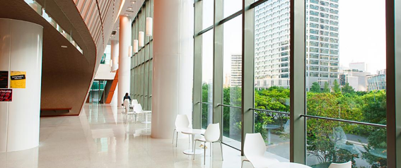 上海紐約大學概況_上海紐約大學學校_紐約大學上海分校