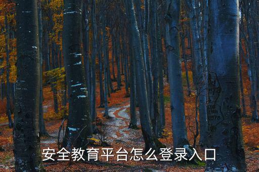 安全教育平臺怎么登錄入口