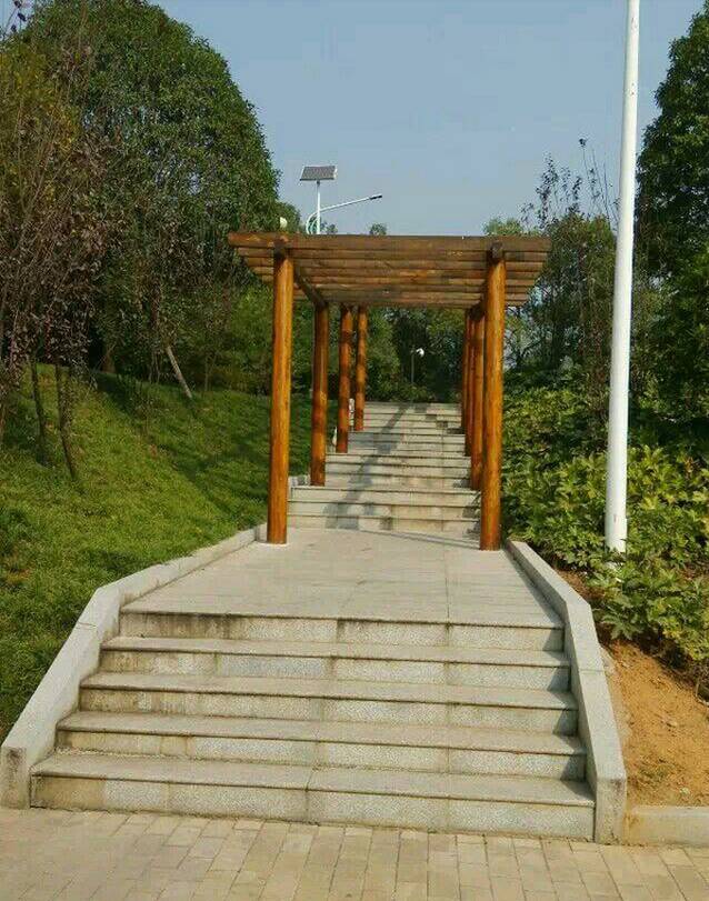 寧鄉一中上線率_寧鄉一中重本率_寧鄉一中全國排名