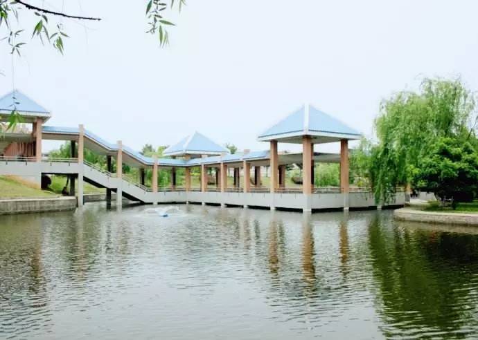 寧鄉一中全國排名_寧鄉一中重本率_寧鄉一中上線率