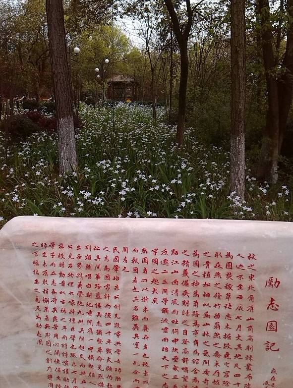 寧鄉一中重本率_寧鄉一中全國排名_寧鄉一中上線率