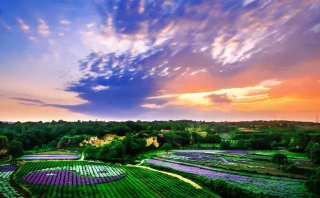 云附古渡口校區_云渡古鎮在哪里_云渡古城