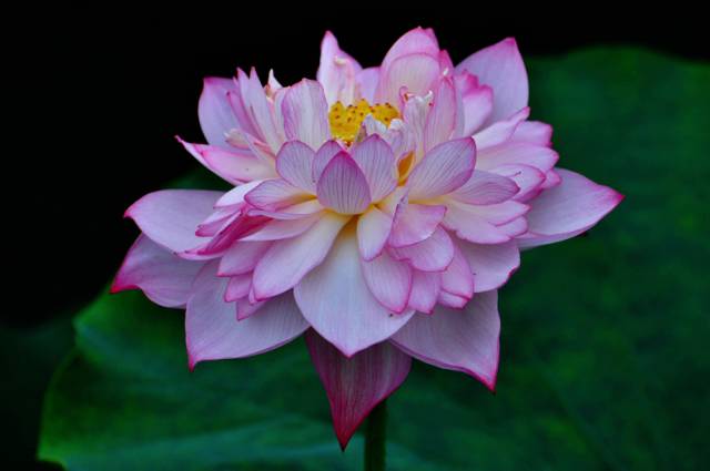 云渡古鎮在哪里_云渡古城_云附古渡口校區