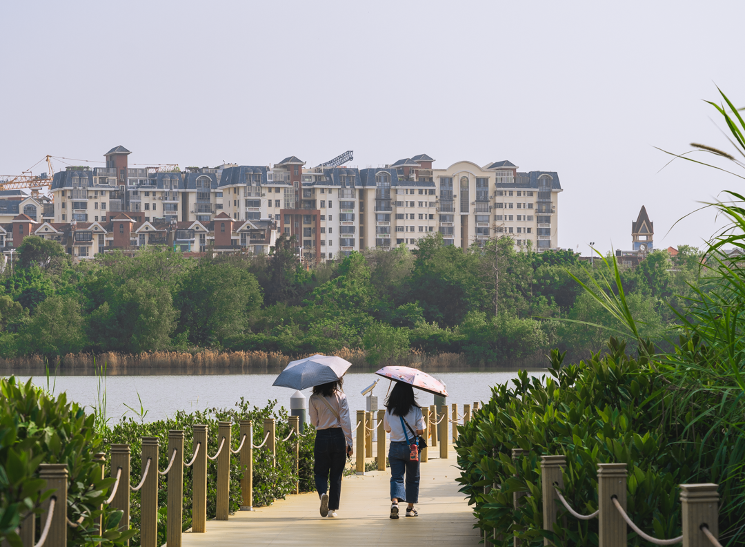 女大學生成中介銷冠：賣出上億豪宅_豪宅買賣中介_中介賣豪宅提成