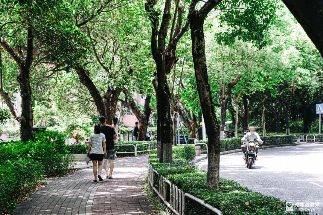 豪宅買賣中介_女大學生成中介銷冠：賣出上億豪宅_中介賣豪宅提成