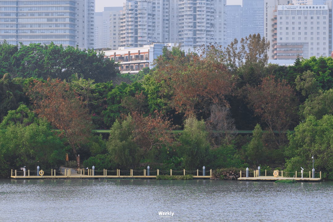 女大學生成中介銷冠：賣出上億豪宅_豪宅買賣中介_中介賣豪宅提成