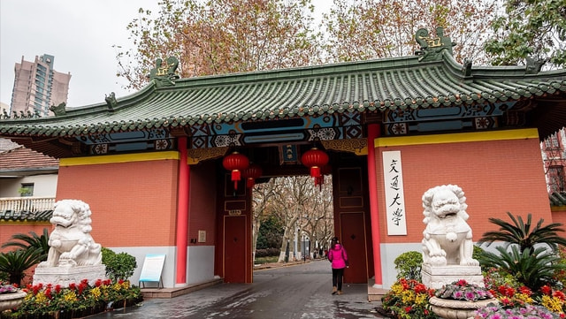 湖南醫學院專業分數線_湖南醫學院錄取分_湖南醫學院分數線