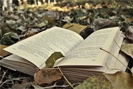 廣東自考專業(yè)科目一覽表?