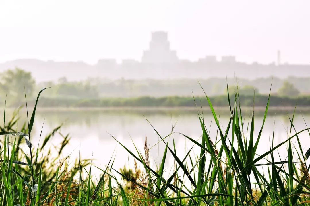 西安的本科大學(xué)排名_西安本科大學(xué)排名榜_西安三本大學(xué)排名