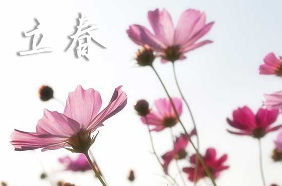 立春是幾月幾號2024年 2024立春那天裝灶臺好嗎