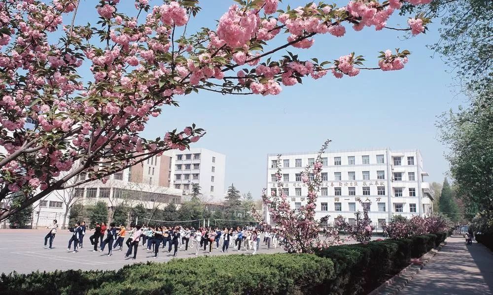 延安大學(xué)西安創(chuàng)新學(xué)院教務(wù)管理_延安大學(xué)西安創(chuàng)新學(xué)院教務(wù)_延安大學(xué)西安創(chuàng)新學(xué)院教務(wù)