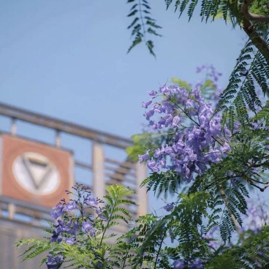 云南師范大學收費標準_云南師范大學的學費_云南師范大學學費查詢