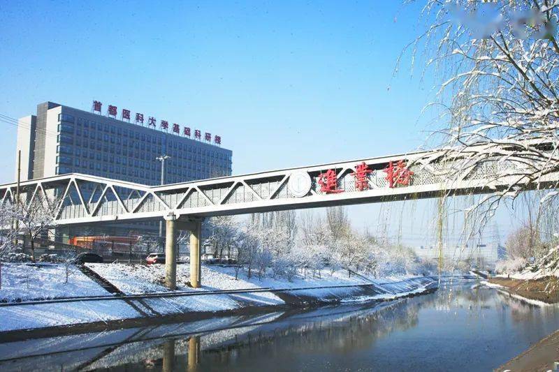 首都醫(yī)科大學(xué)醫(yī)學(xué)部分?jǐn)?shù)線_首都醫(yī)科大學(xué)錄取分?jǐn)?shù)線_首都醫(yī)科大學(xué)錄取分?jǐn)?shù)線