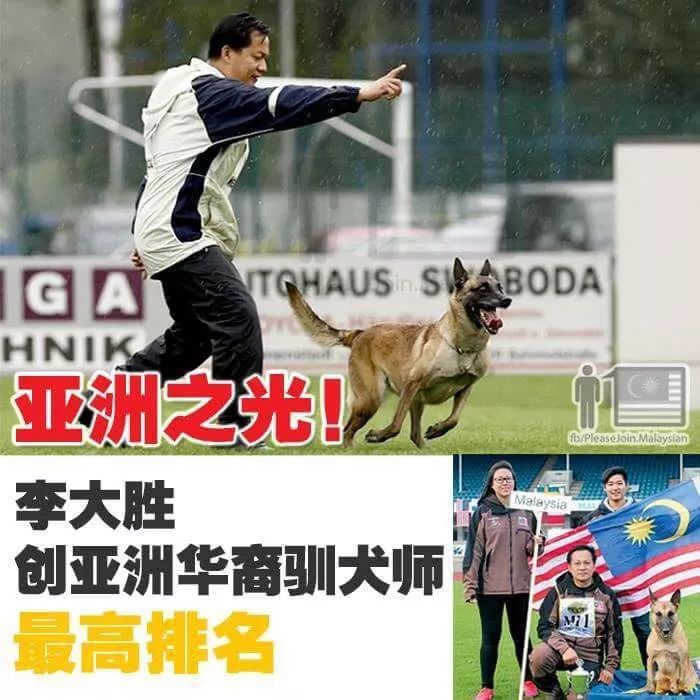 重慶銀利寵物美容學校_重慶銀利寵物學校學費_重慶寵物美容培訓學校排名