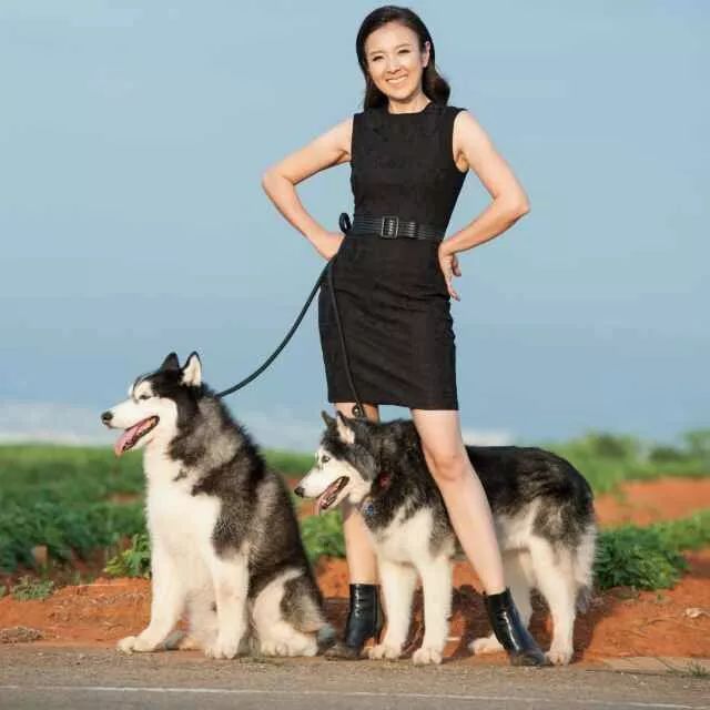 重慶銀利寵物學校學費_重慶銀利寵物美容學校_重慶寵物美容培訓學校排名