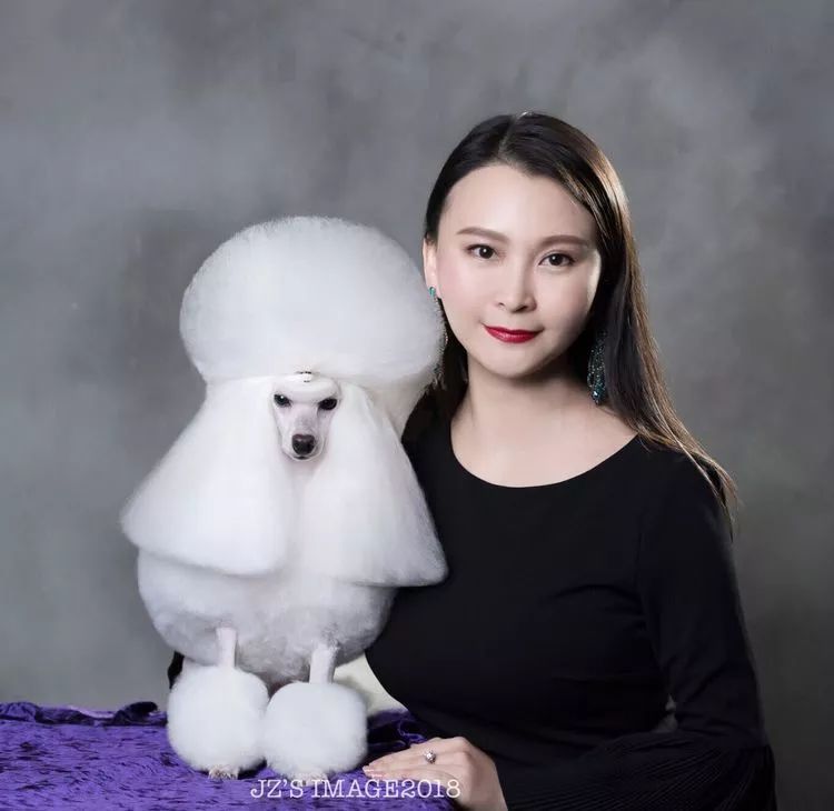 重慶銀利寵物美容學校_重慶銀利寵物學校學費_重慶寵物美容培訓學校排名