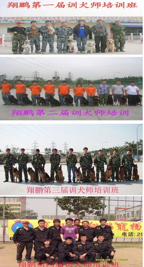 重慶銀利寵物學校學費_重慶寵物美容培訓學校排名_重慶銀利寵物美容學校