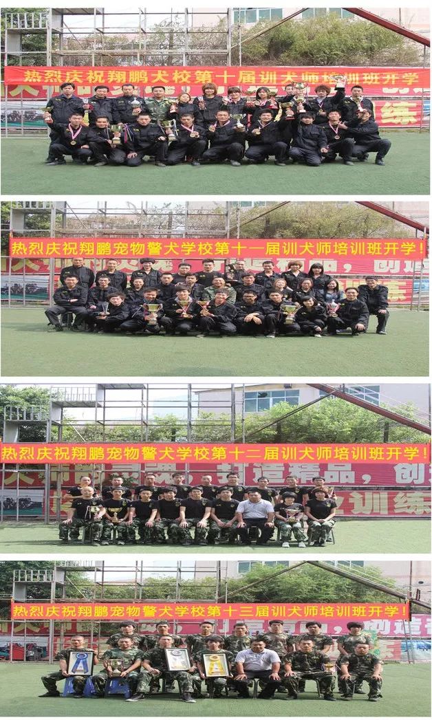 重慶銀利寵物學校學費_重慶寵物美容培訓學校排名_重慶銀利寵物美容學校