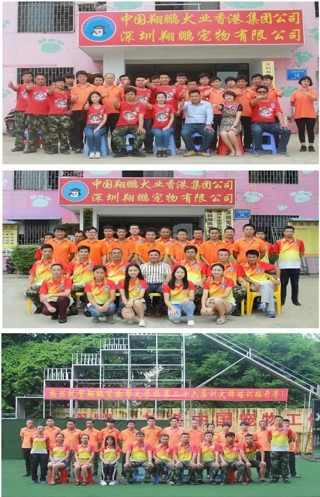 重慶銀利寵物學校學費_重慶寵物美容培訓學校排名_重慶銀利寵物美容學校