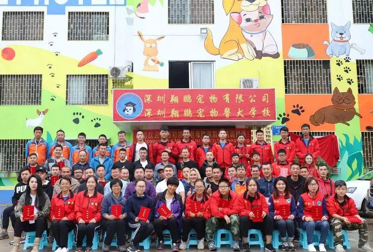 重慶銀利寵物學校學費_重慶寵物美容培訓學校排名_重慶銀利寵物美容學校