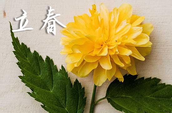 2024年躲春幾點到幾點屬相 躲春的正確方法