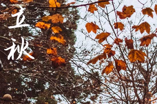 今天什么時(shí)候立秋幾點(diǎn)立秋2024