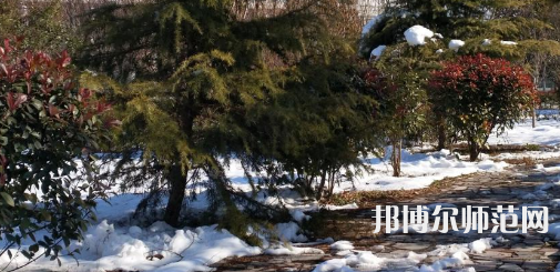 河南科技職業技術學院代碼_河南科技職業大學代碼_河南科技代號