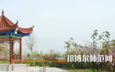 河南科技職業技術學院代碼_河南科技職業大學代碼_河南科技代號