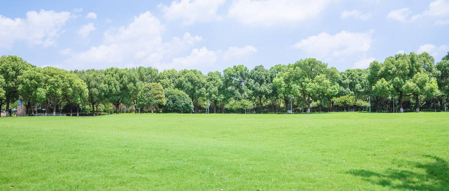 2024河南公辦本科大學排名_河南文科二本大學排名_鄭州大學錄取分數線