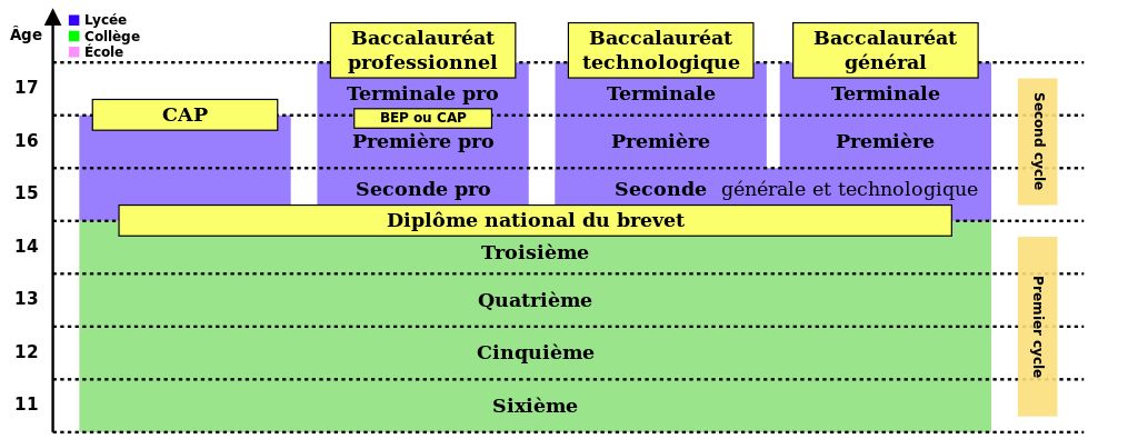 法國高考科目分類_法國Bac考試內(nèi)容_法語專業(yè)考試
