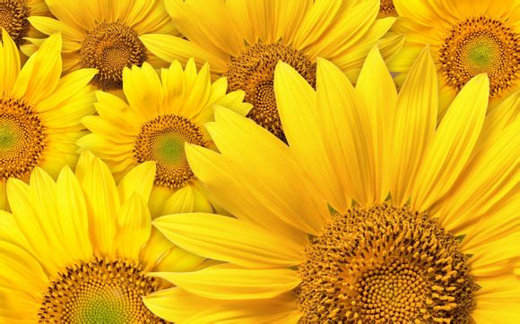 10月江西自考準考證在什么時間內打印？