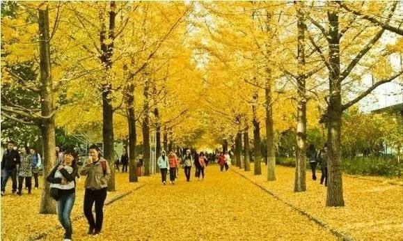 皖西學(xué)院是幾本院校？在安徽排名怎么樣？最好的專業(yè)是什么？