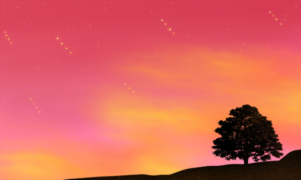 湖北師范大學是幾本？屬于一本還是二本？2025年分數線預測及報考建議